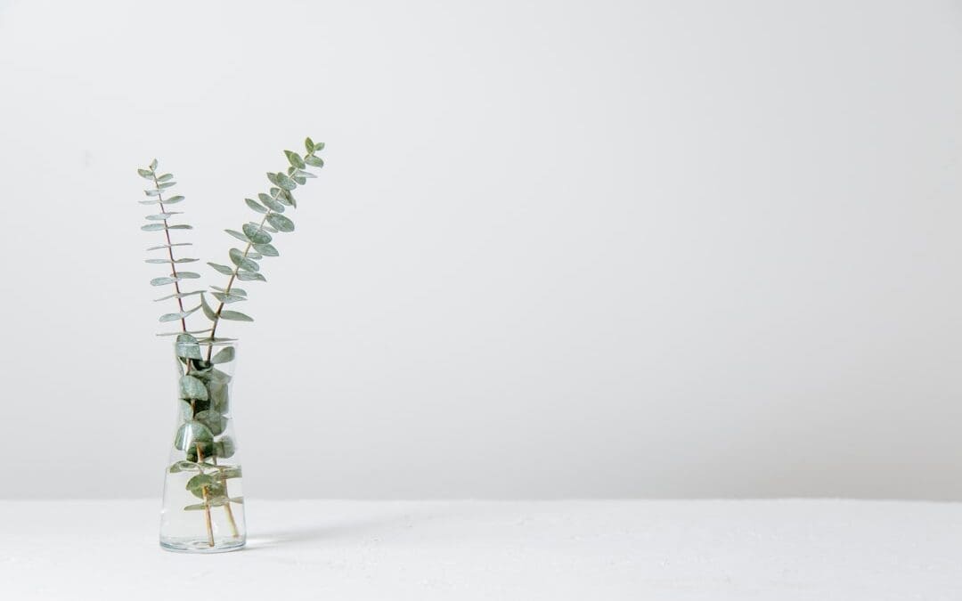 The Importance of White Space in Web Design